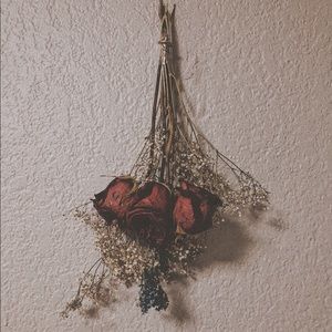 Meet your Posher, Micaela